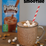 S'Mores Chocolate Smoothie with #TruMoo