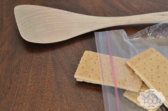 Graham Crackers in Bag_wm