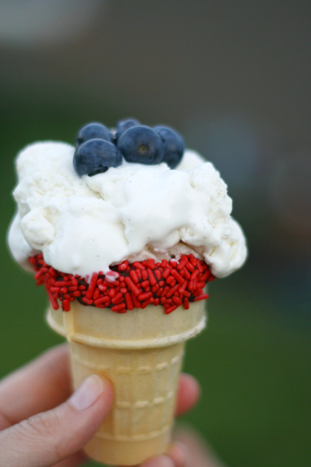 16 - The Pretty Bee - Patriotic Cones