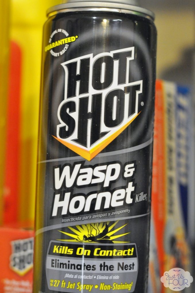 wasp-and-hornet-killer_wm