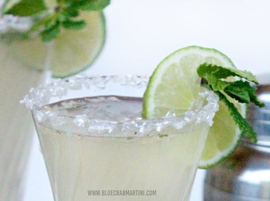 16 - Blue Crab Martini - Fizzy Mojito