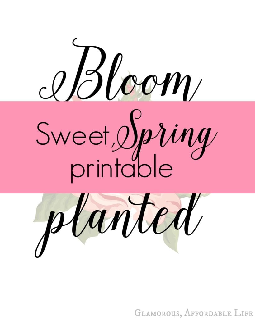 Spring bloom printable