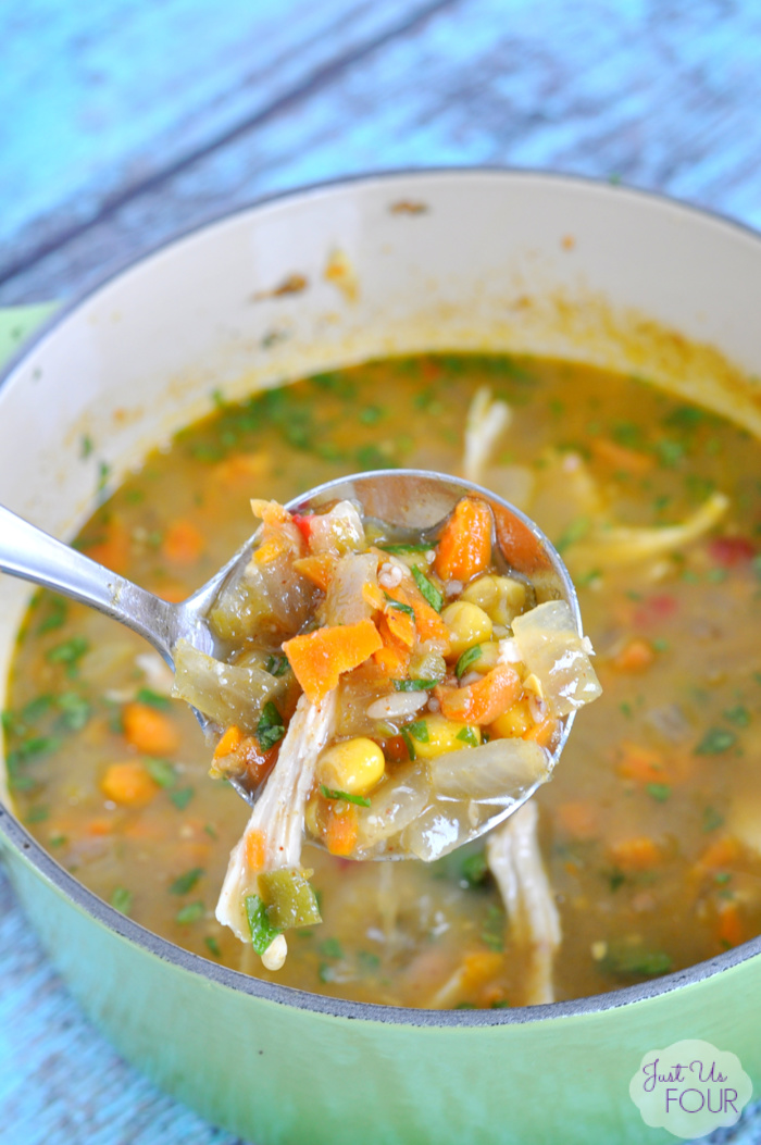 Zesty Chicken and Rice Soup