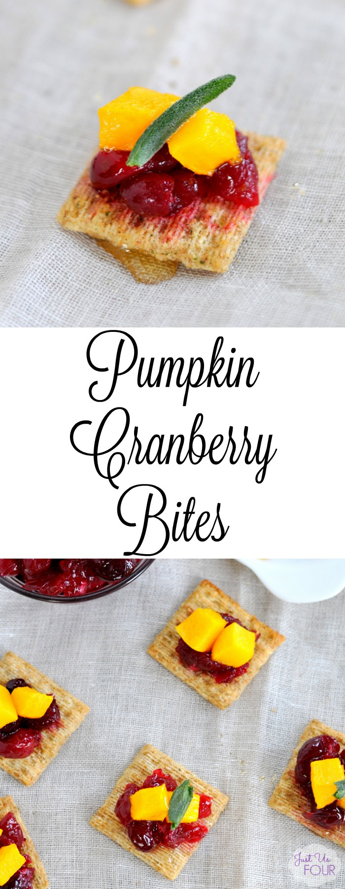 Cranberry Pumpkin Bites are the perfect quick and easy party appetizer that tastes amazing too.
