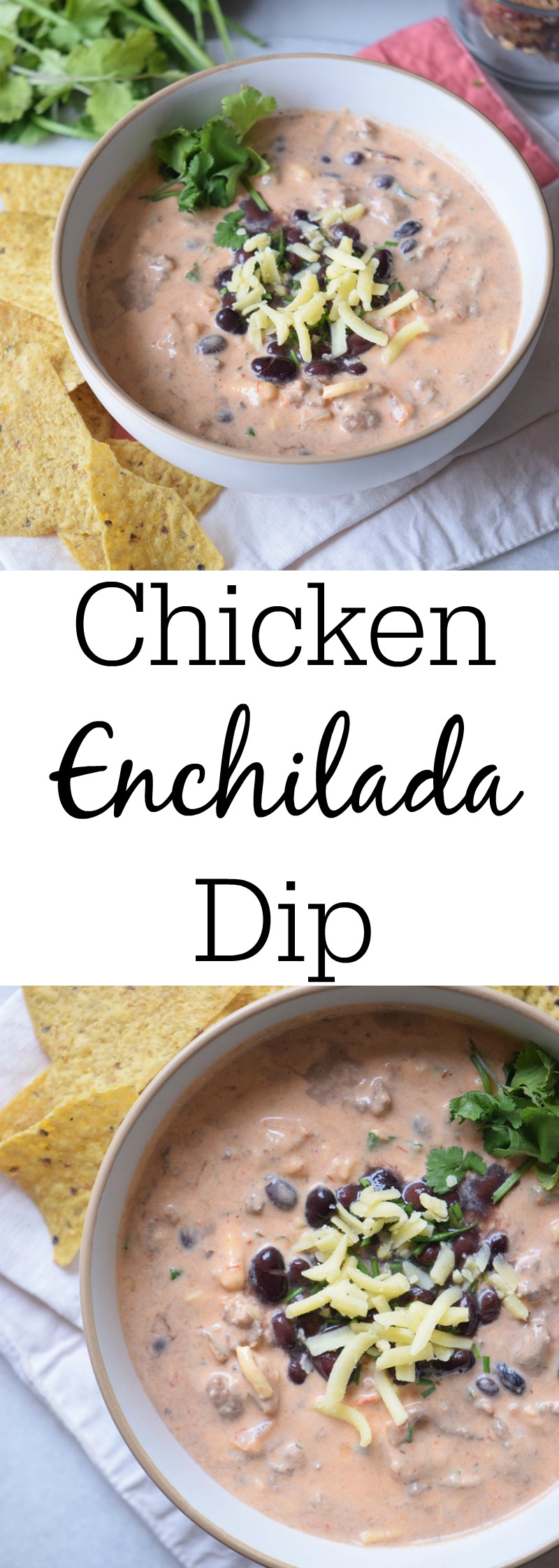 Crockpot chicken enchilada dip