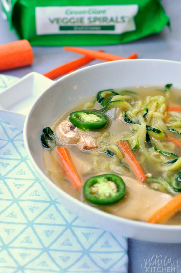 Asian Chicken Vegetable Noodle Soup
