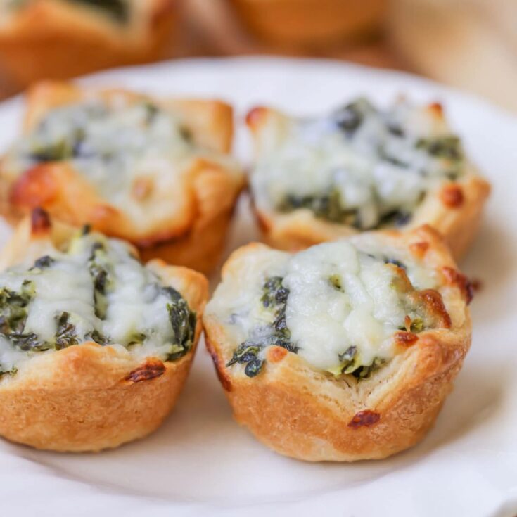 Image for Spinach Dip Bites