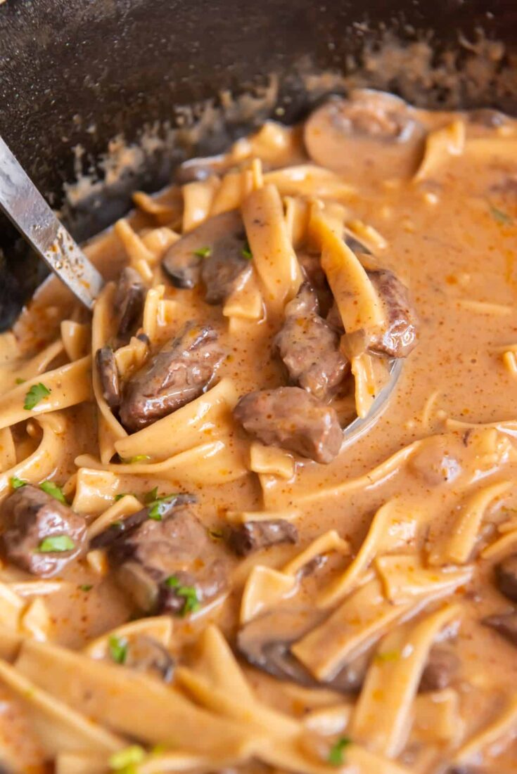 Image for Beef Stroganoff Soup