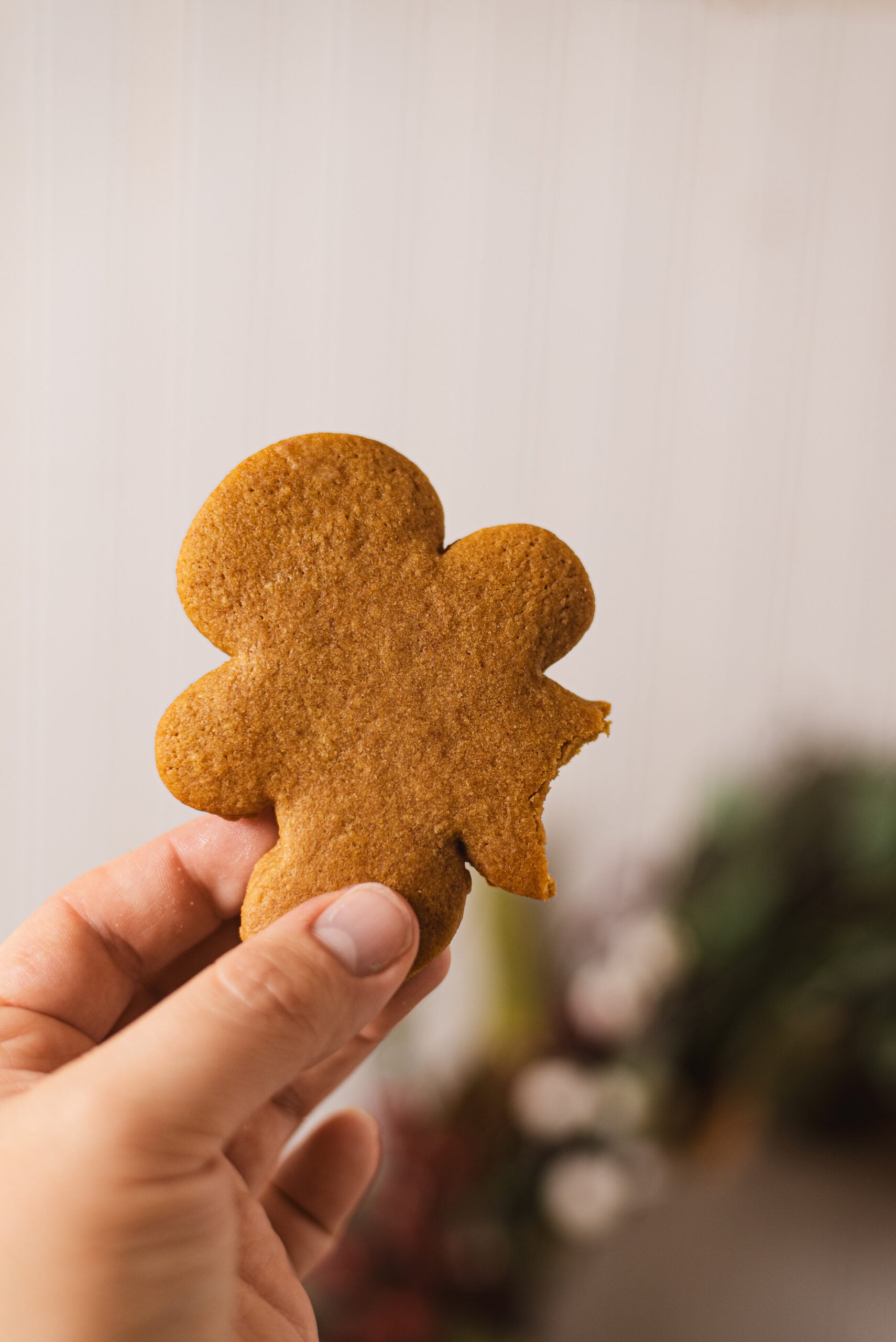Gingerbread Cake Mix Cookies